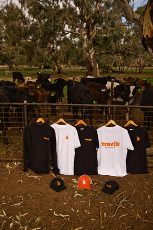 travla merch - tshirts, hats and a bunch of cows